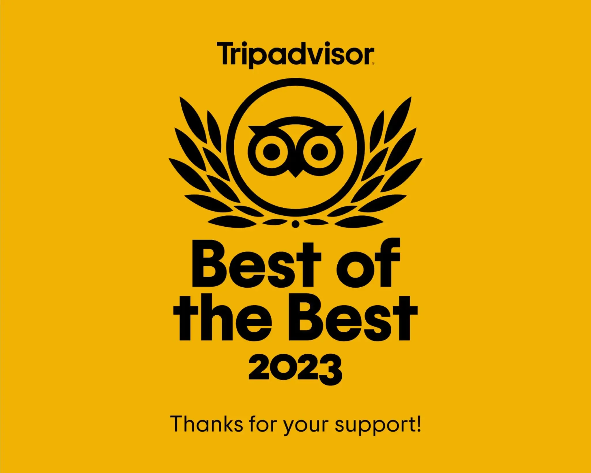 Tripadvisor Best of the Best