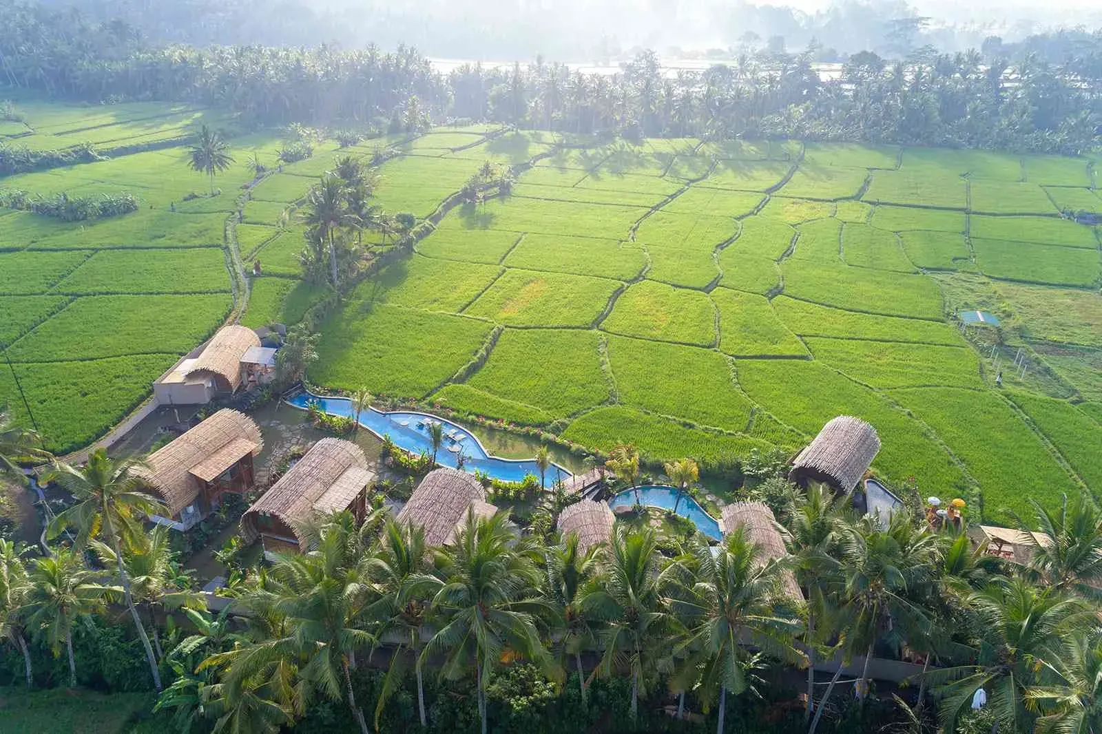 Beehouse Dijiwa Ubud
